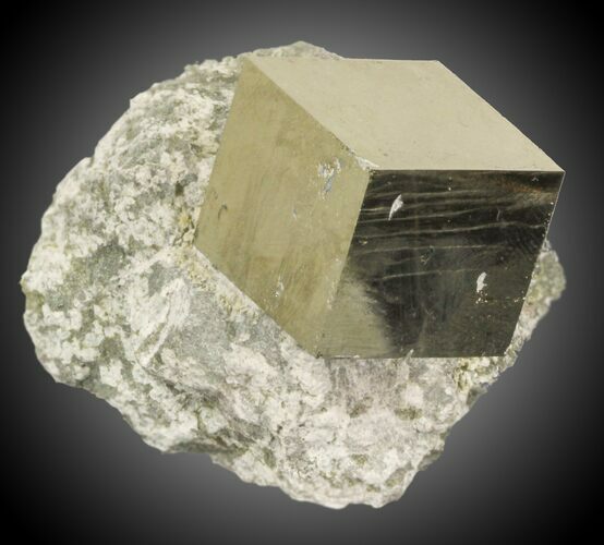 Pyrite Cube In Matrix - Navajun, Spain #31110